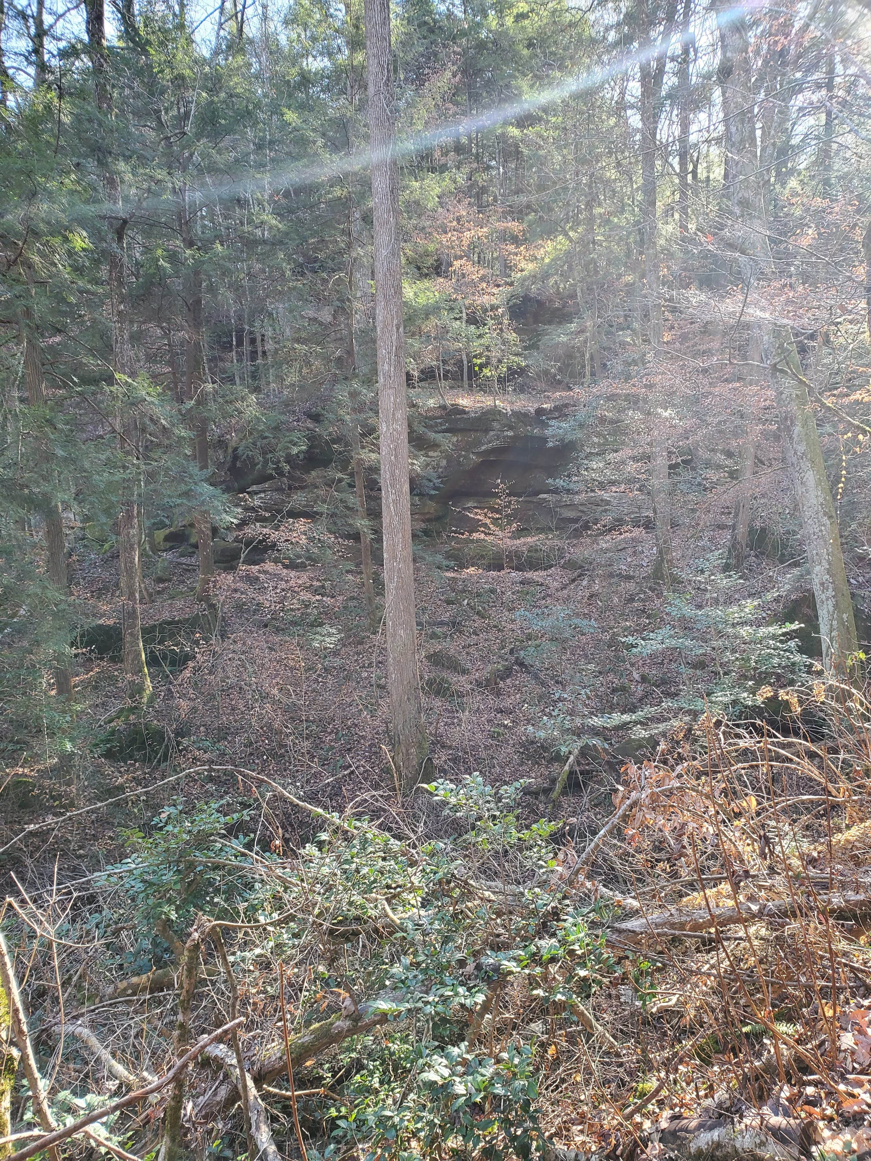 Camper-submitted photo at Wolf Pen Hunters Camp near Cherokee, AL