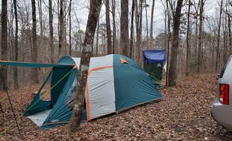 Timothy K.'s photo at Wolf Pen Hunters Camp near National Forests in Alabama