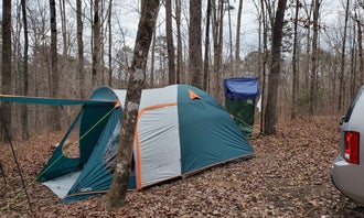 Camping near Bama Campground & RV Park: Wolf Pen Hunters Camp, Bankhead National Forest, Alabama