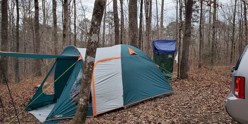 Camper submitted image from Wolf Pen Hunters Camp