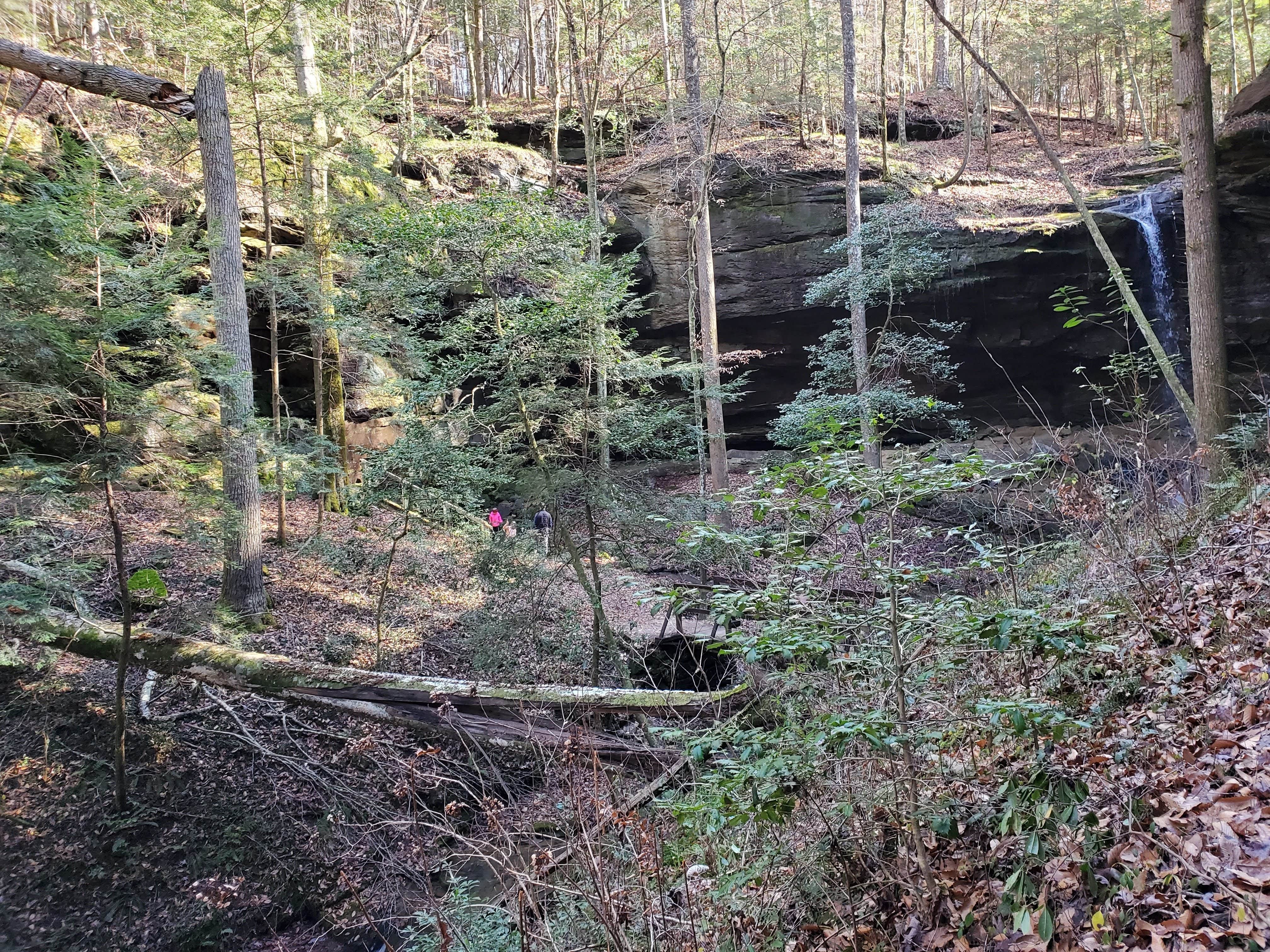 Camper-submitted photo at Wolf Pen Hunters Camp near Cherokee, AL