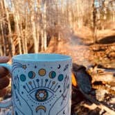 Review photo of Twin Falls Resort State Park Campground by Tiffany A., December 5, 2021