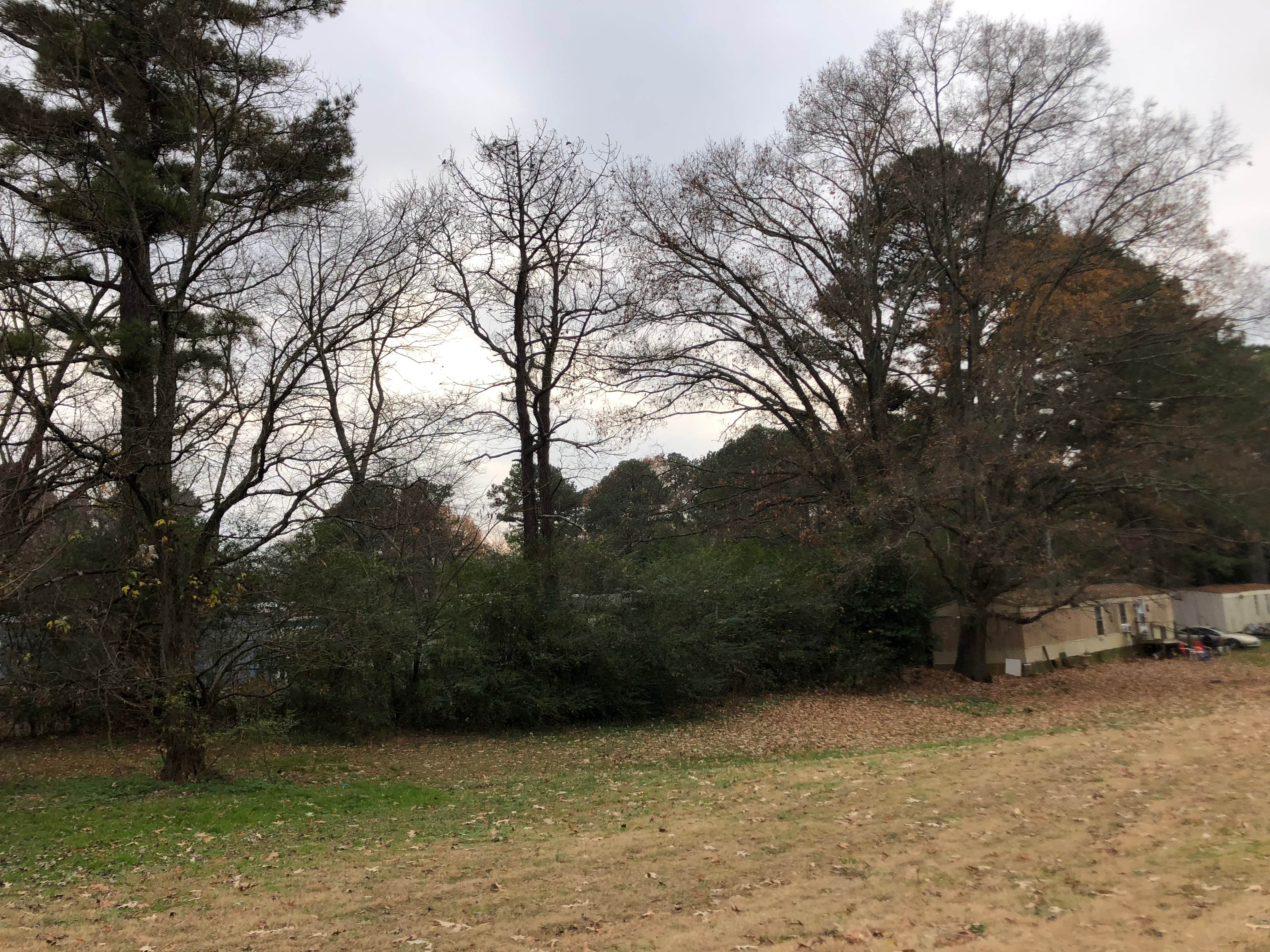 Camper-submitted photo at Whispering Pines RV Park near Jackson, TN