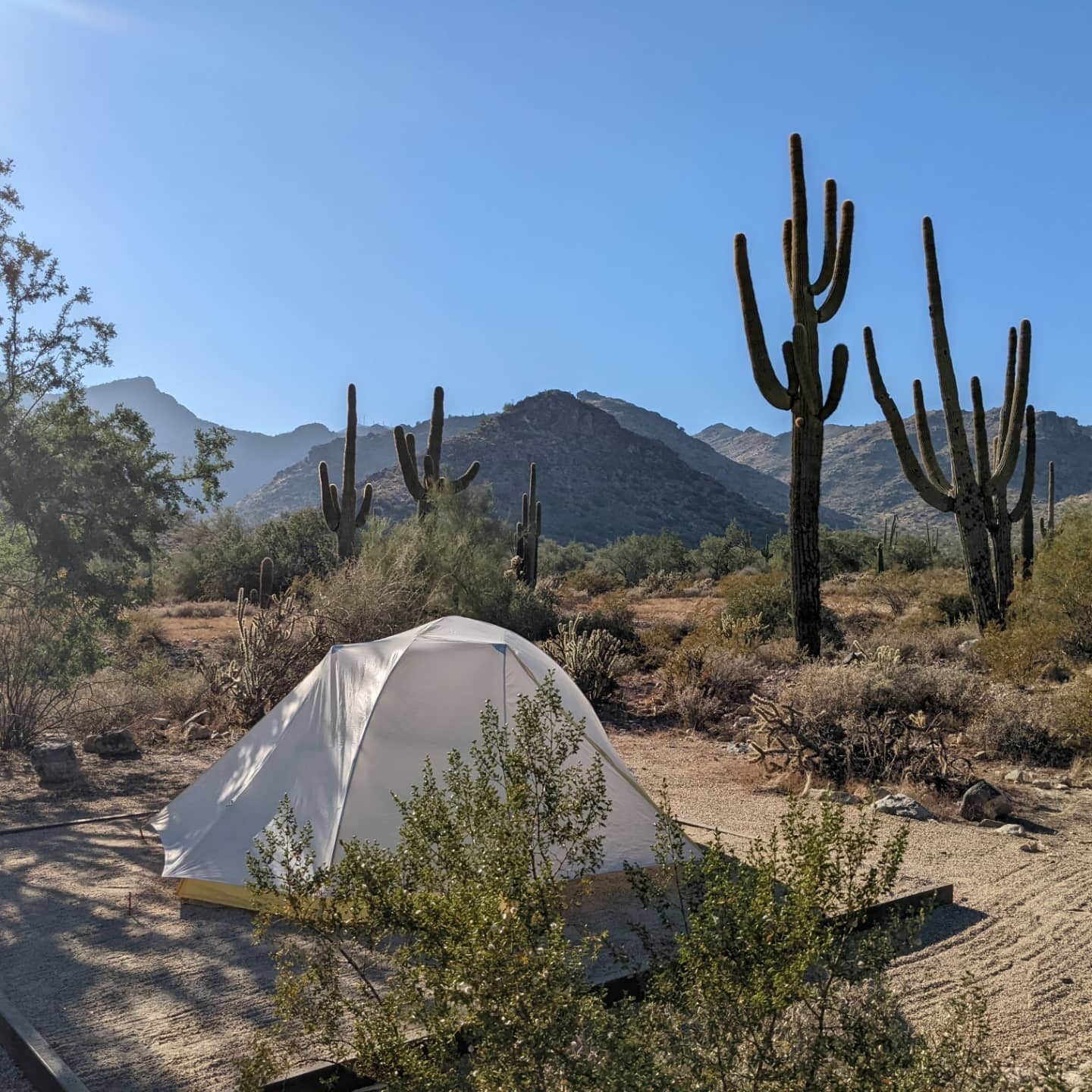 Camper submitted image from White Tank Mountain Regional Park - 5