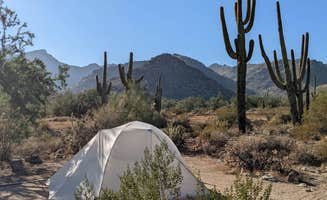Becbecandbunny O.'s photo at White Tank Mountain Regional Park near Glendale, AZ