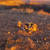 Review photo of Saddle Mountain (Kaibab NF) by Dana W., December 5, 2021