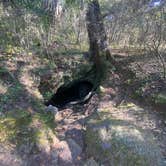 Review photo of Withlacoochee State Forest - Annutteliga Hammock Trail by Dark Wolf .., December 5, 2021