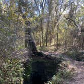 Review photo of Withlacoochee State Forest - Annutteliga Hammock Trail by Dark Wolf .., December 5, 2021