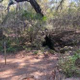 Review photo of Withlacoochee State Forest - Annutteliga Hammock Trail by Dark Wolf .., December 5, 2021