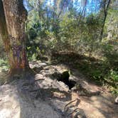 Review photo of Withlacoochee State Forest - Annutteliga Hammock Trail by Dark Wolf .., December 5, 2021