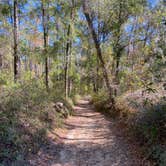 Review photo of Withlacoochee State Forest - Annutteliga Hammock Trail by Dark Wolf .., December 5, 2021