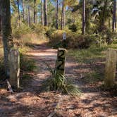 Review photo of Withlacoochee State Forest - Annutteliga Hammock Trail by Dark Wolf .., December 5, 2021