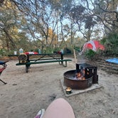 Review photo of Juniper Springs Rec Area - Tropical Camp Area by Jessica S., December 5, 2021
