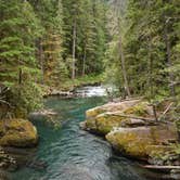 Review photo of Ohanapecosh Campground — Mount Rainier National Park by Brittany P., July 8, 2018