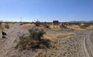 Greg L.'s photo of camping with pets at BLM Ironwood Forest National Monument - Reservation Road Dispersed Camping near Marana, AZ