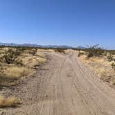 Review photo of BLM Ironwood Forest National Monument - Reservation Road Dispersed Camping by Greg L., December 5, 2021