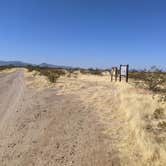 Review photo of BLM Ironwood Forest National Monument - Reservation Road Dispersed Camping by Greg L., December 5, 2021