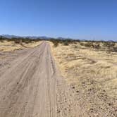 Review photo of BLM Ironwood Forest National Monument - Reservation Road Dispersed Camping by Greg L., December 5, 2021