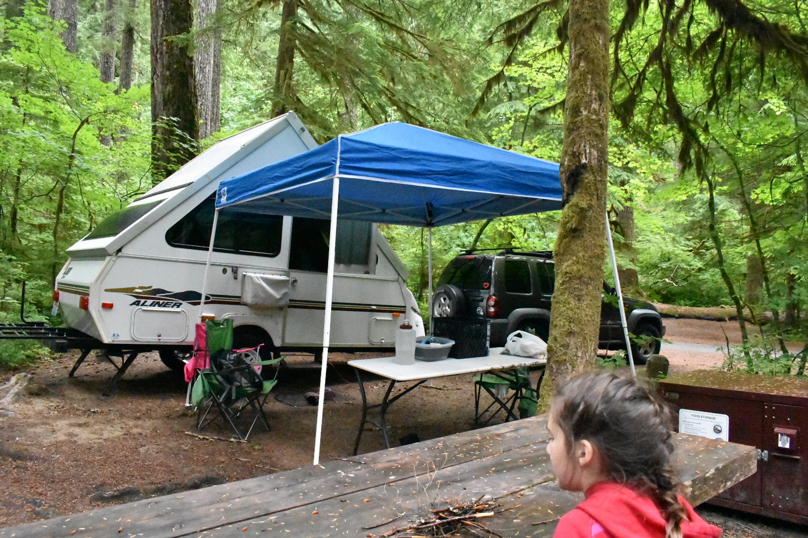 Camper submitted image from Ohanapecosh Campground — Mount Rainier National Park - 5