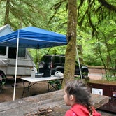 Review photo of Ohanapecosh Campground — Mount Rainier National Park by Brittany P., July 8, 2018
