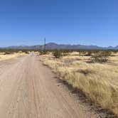 Review photo of BLM Ironwood Forest National Monument - Reservation Road Dispersed Camping by Greg L., December 5, 2021