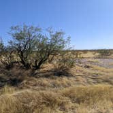 Review photo of BLM Ironwood Forest National Monument - Reservation Road Dispersed Camping by Greg L., December 5, 2021