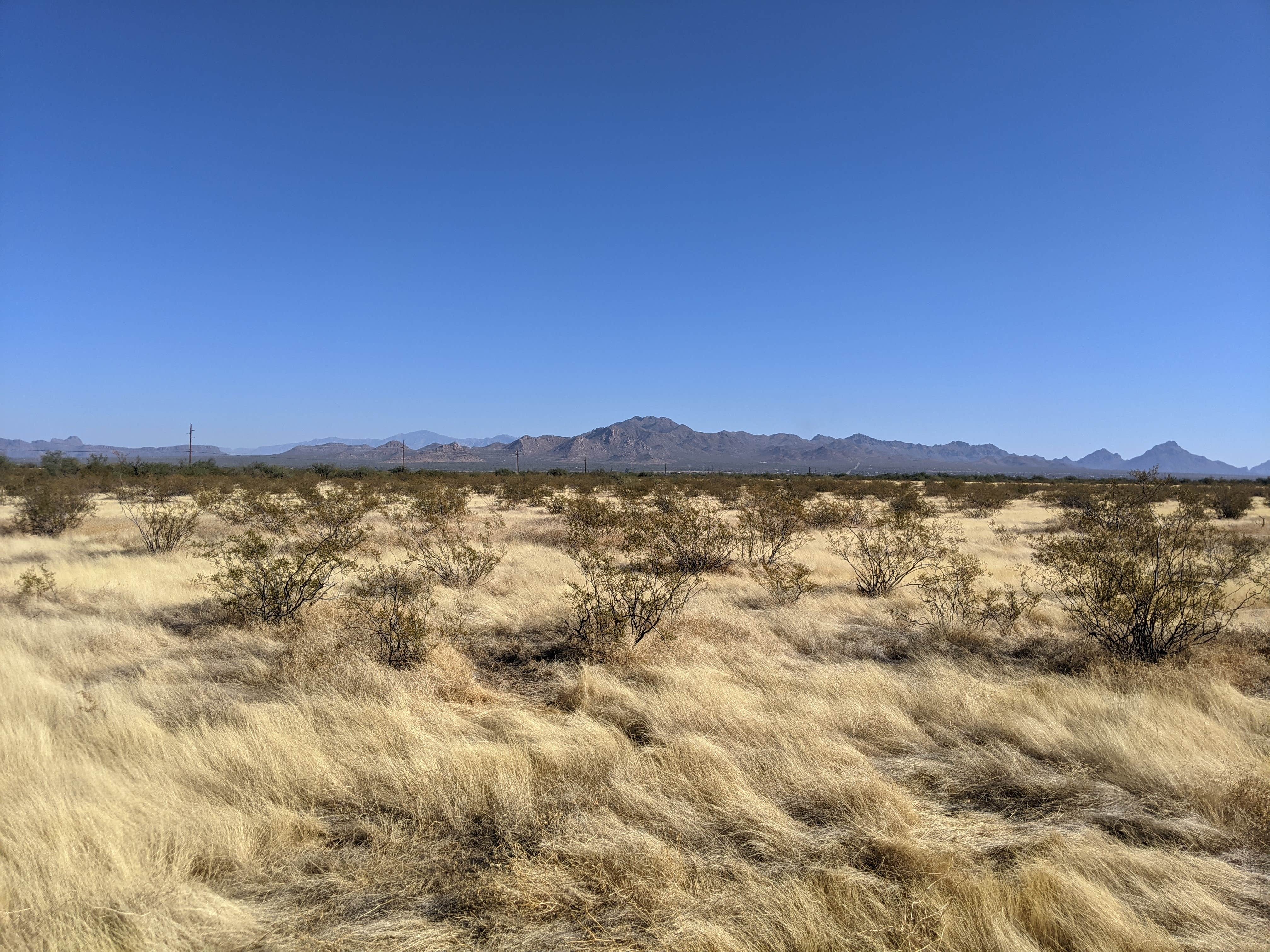 Camper-submitted photo at BLM Ironwood Forest National Monument - Reservation Road Dispersed Camping near Tucson, AZ
