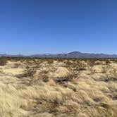 Review photo of BLM Ironwood Forest National Monument - Reservation Road Dispersed Camping by Greg L., December 5, 2021