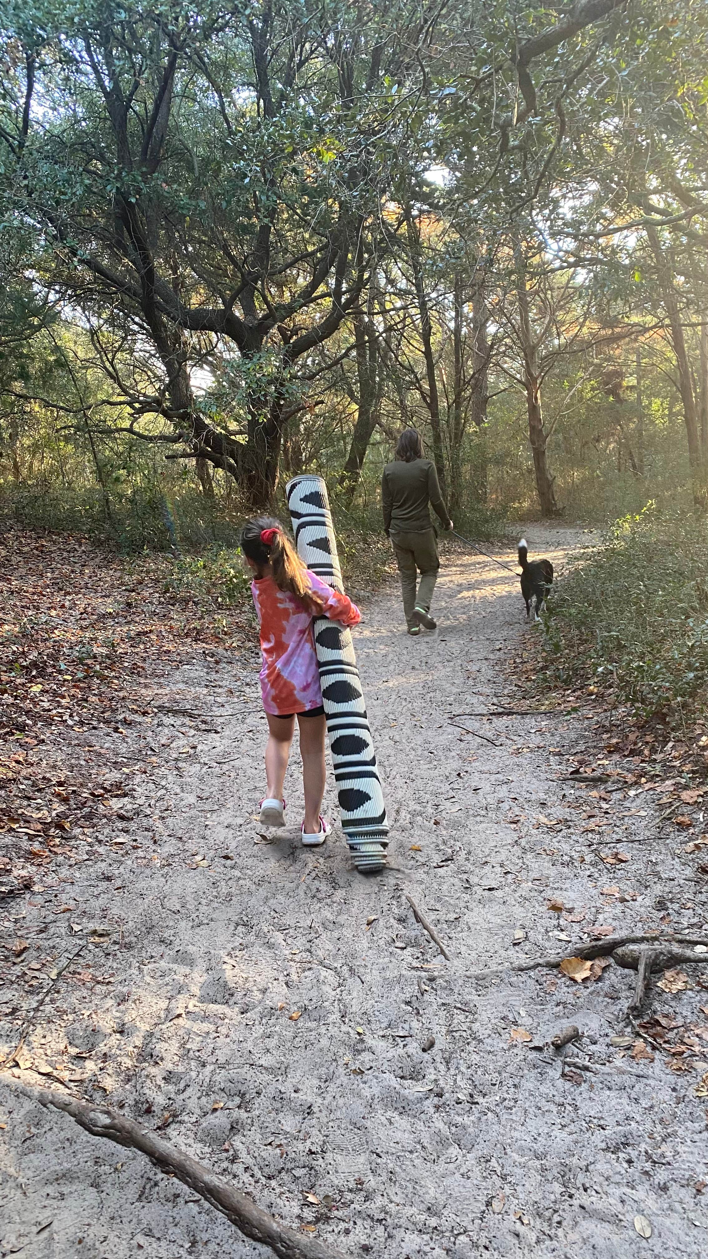 Cassandra R.'s photo of camping with pets at Huntington Beach State Park Campground in South Carolina