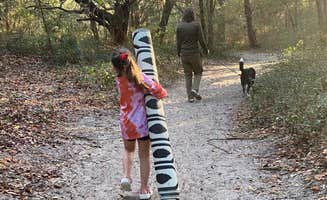 Cassandra R.'s photo of camping with pets at Huntington Beach State Park Campground near Myrtle Beach, SC