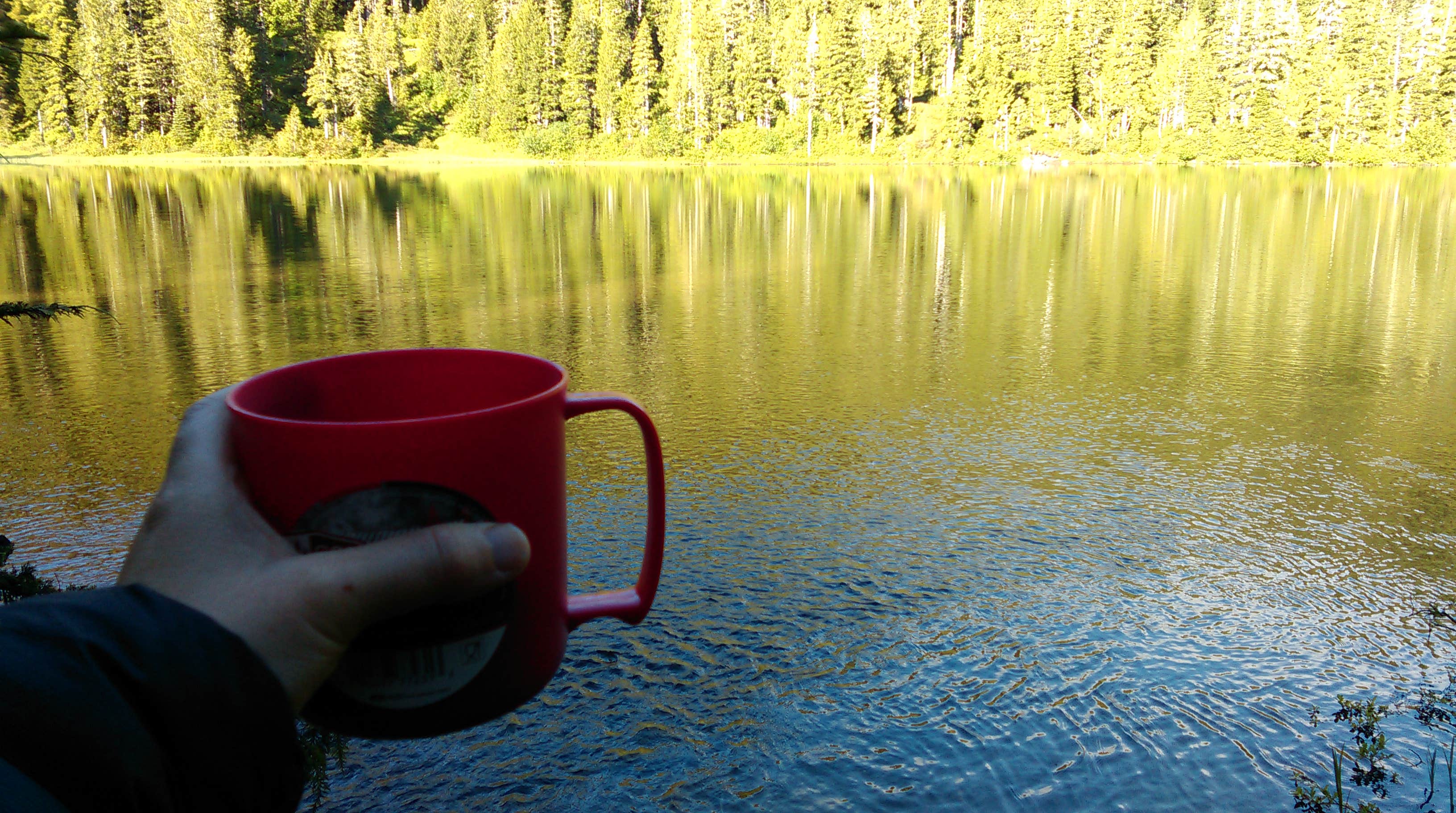 Camper-submitted photo at Deer Lake — Olympic National Park near Sol Duc Hot Springs, WA