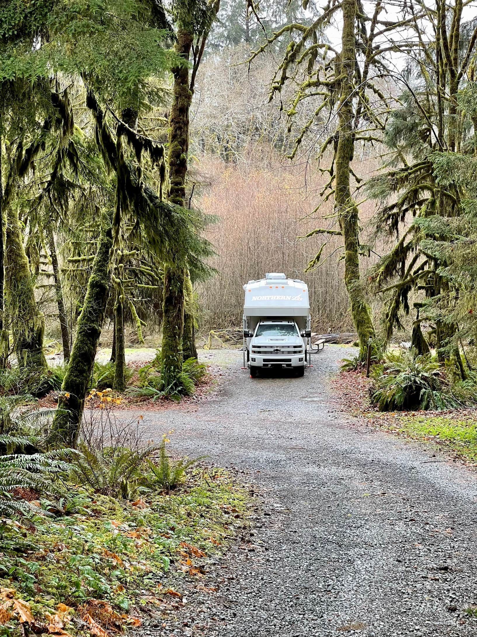 Camper-submitted photo at Upper Clearwater near Taholah, WA