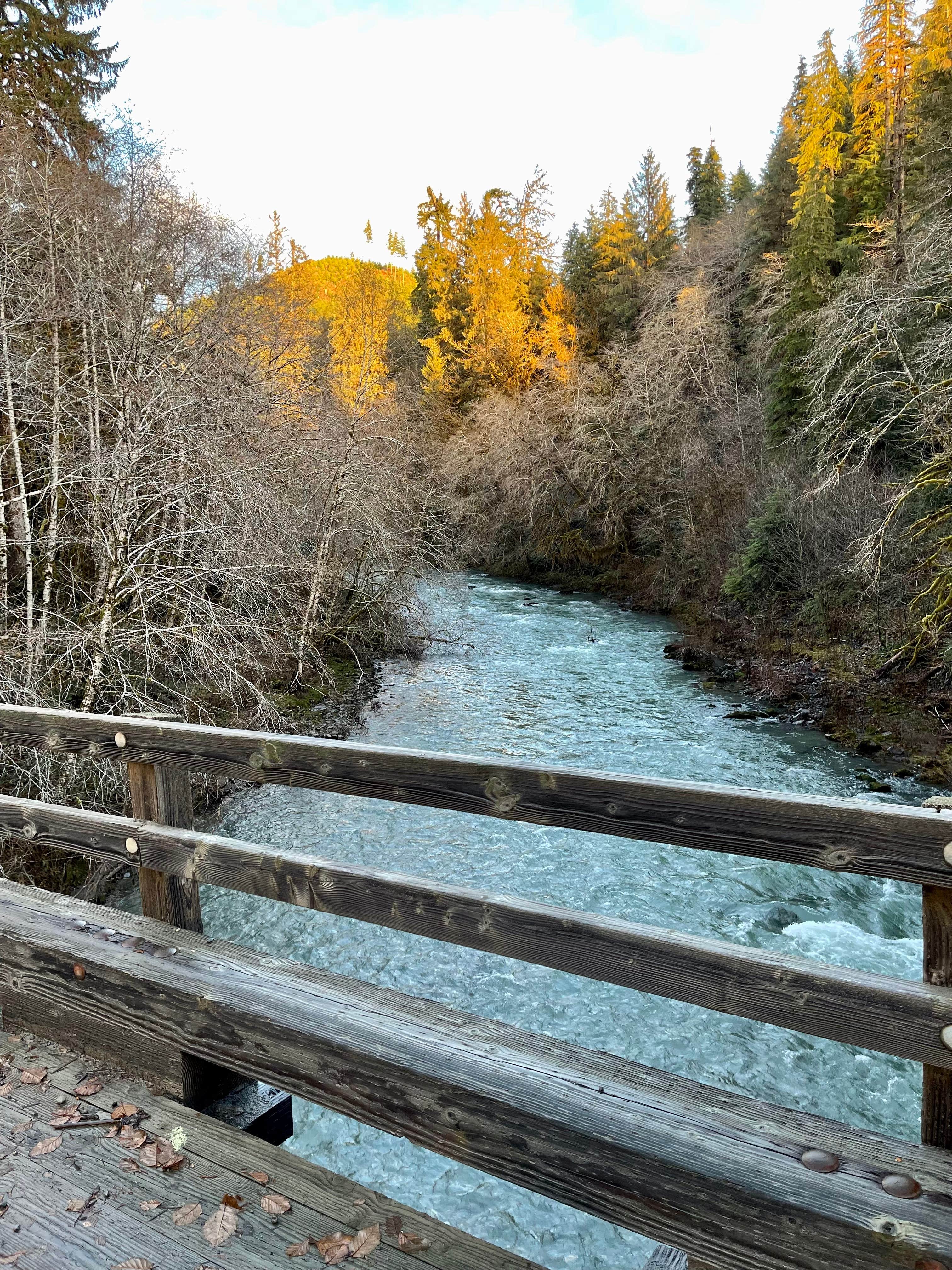 Camper-submitted photo at Upper Clearwater near Taholah, WA