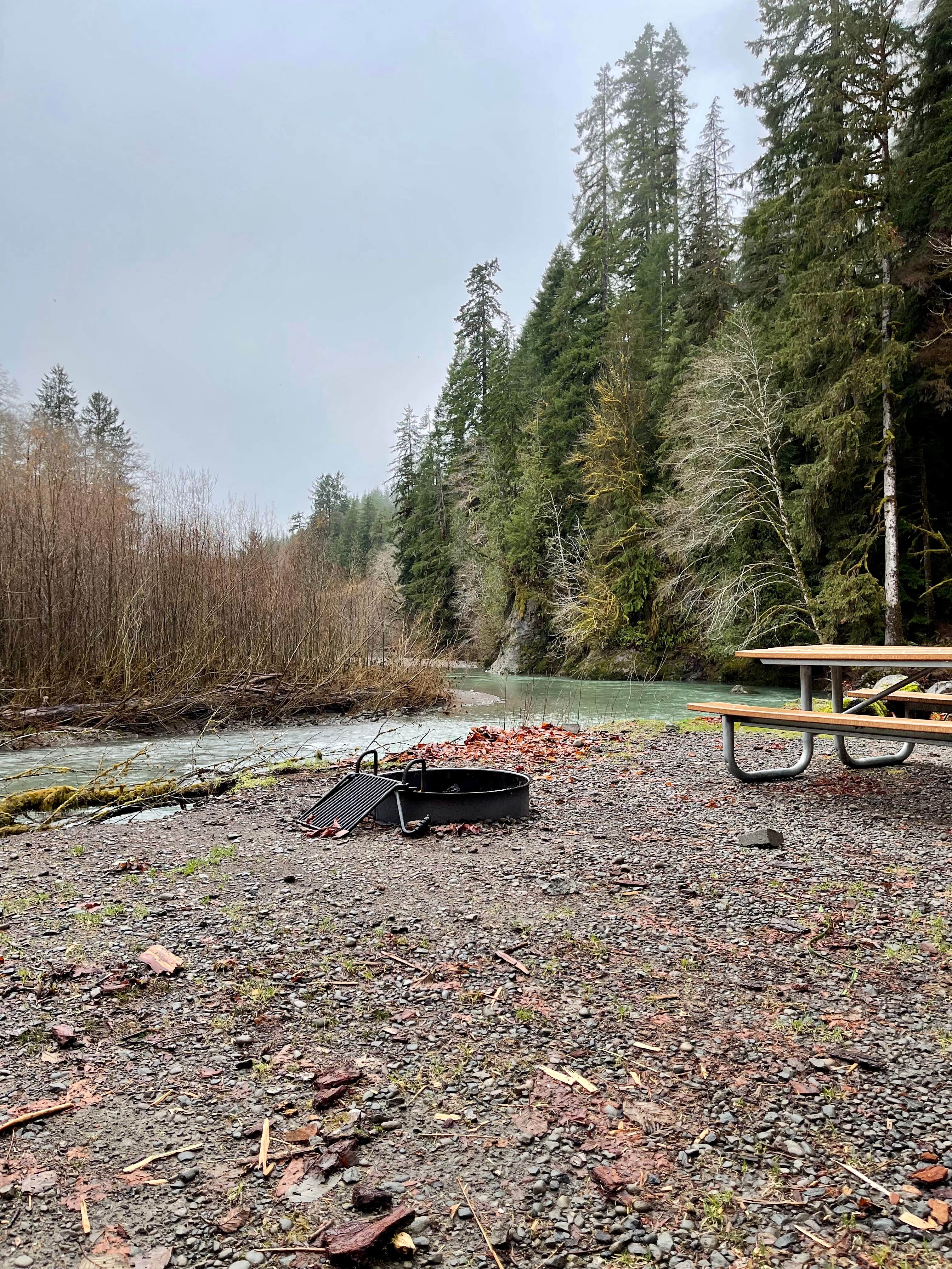 Camper-submitted photo at Upper Clearwater near Taholah, WA