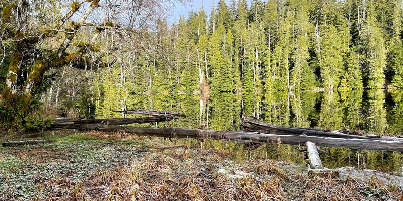 Camper submitted image from Yahoo Lake Campground