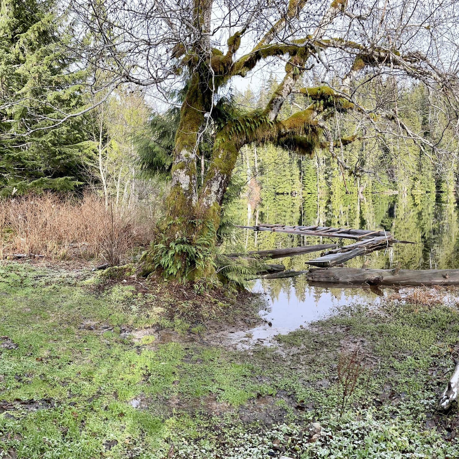 Yahoo Lake Campground Camping The Dyrt