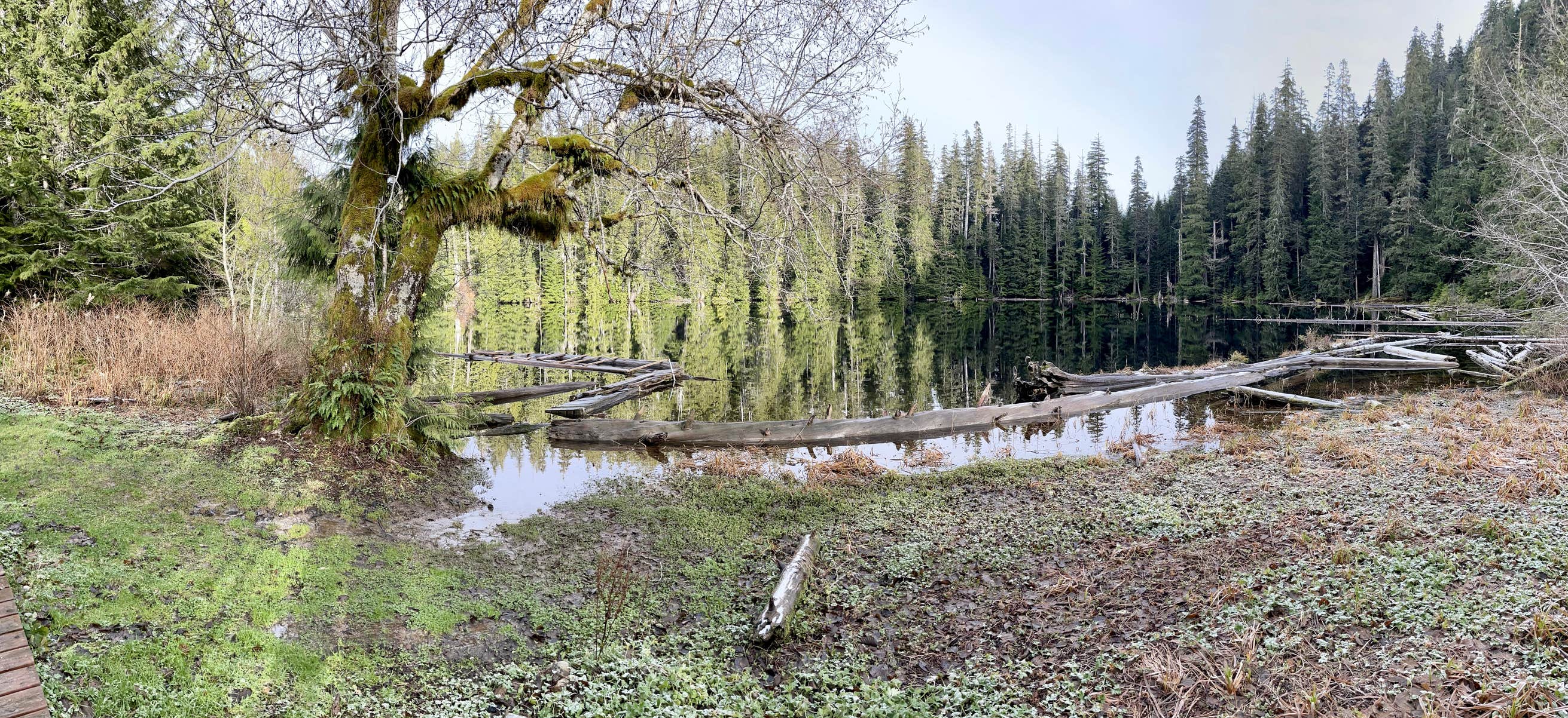 Yahoo Lake Campground Camping The Dyrt