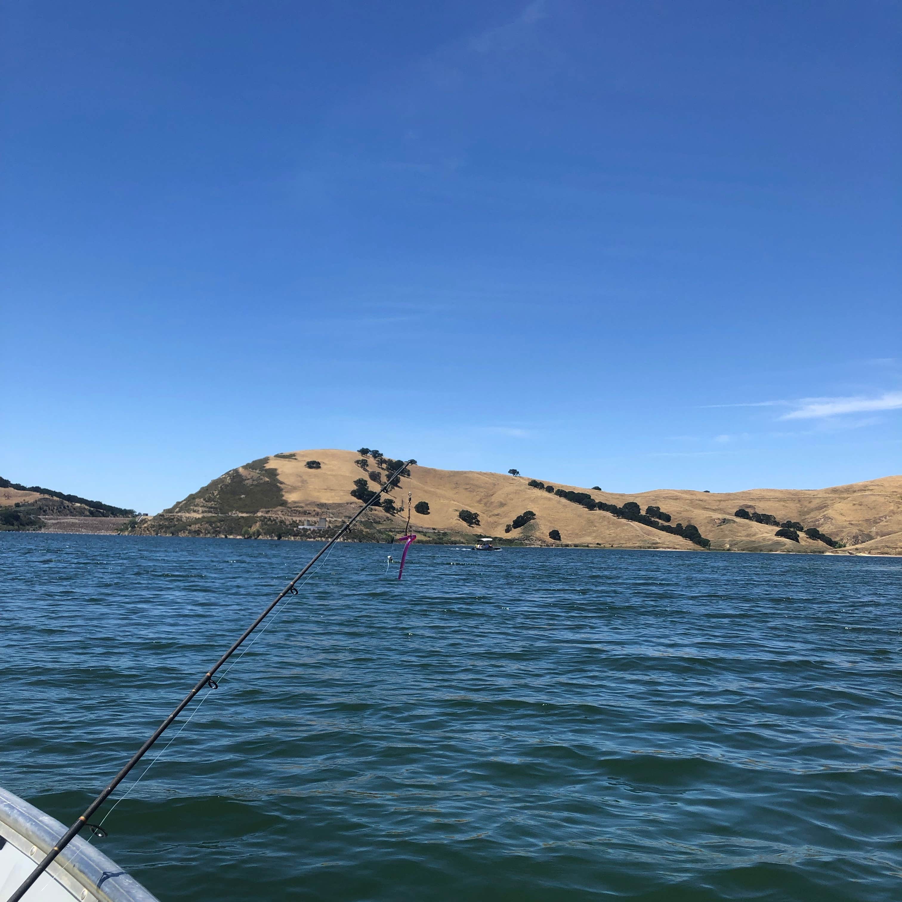 Where to go fishing with kids in the East Bay