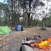 Review photo of Happy Valley Saddle Campground — Saguaro National Park by Nicole J., December 6, 2021