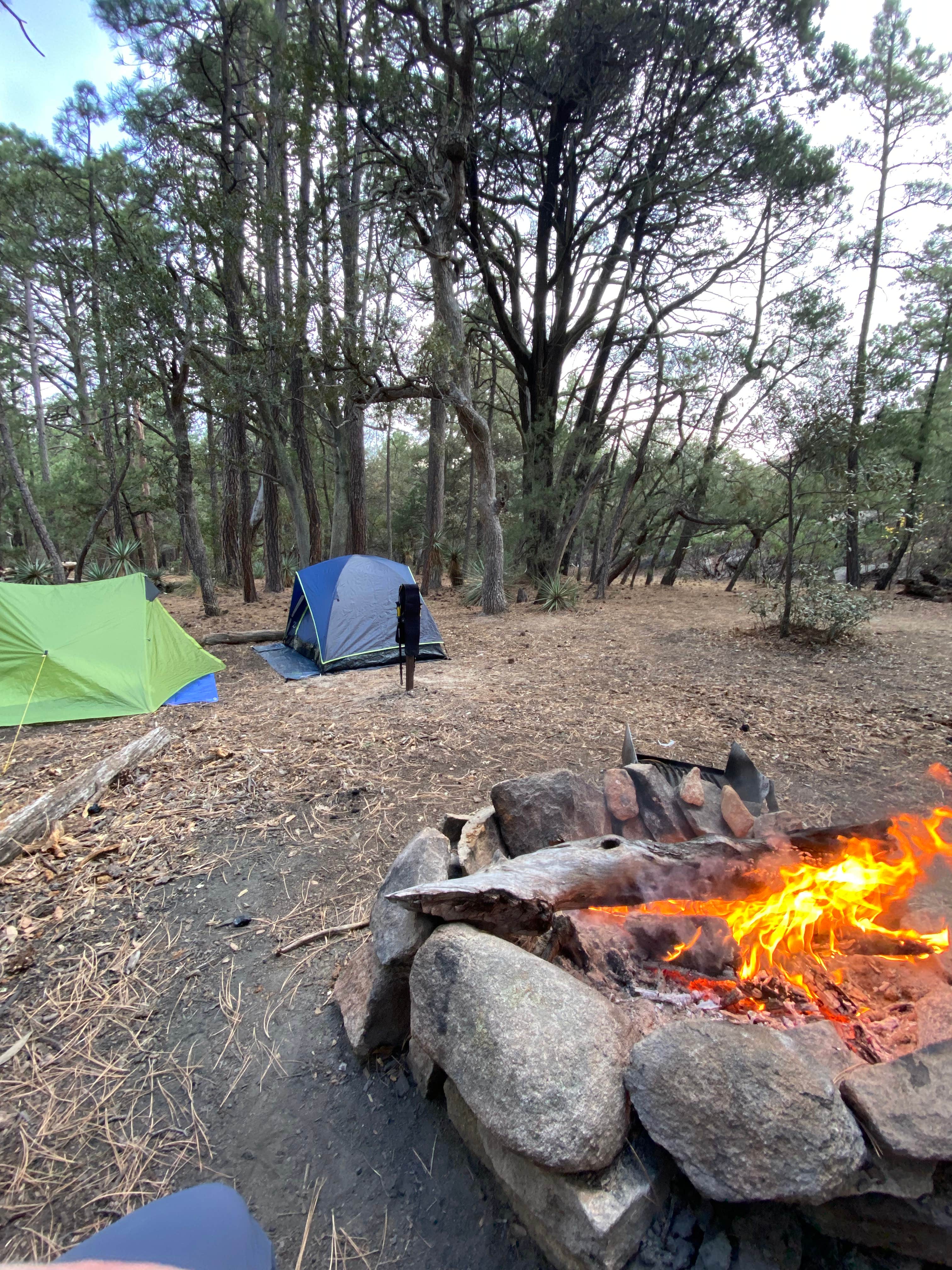 Camper submitted image from Happy Valley Saddle Campground — Saguaro National Park - 1