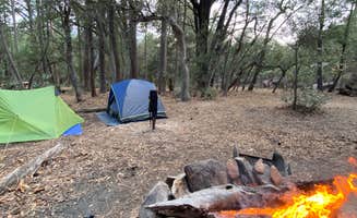 Nicole J.'s photo at Happy Valley Saddle Campground — Saguaro National Park near Coronado National Forest