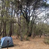 Review photo of Happy Valley Saddle Campground — Saguaro National Park by Nicole J., December 6, 2021