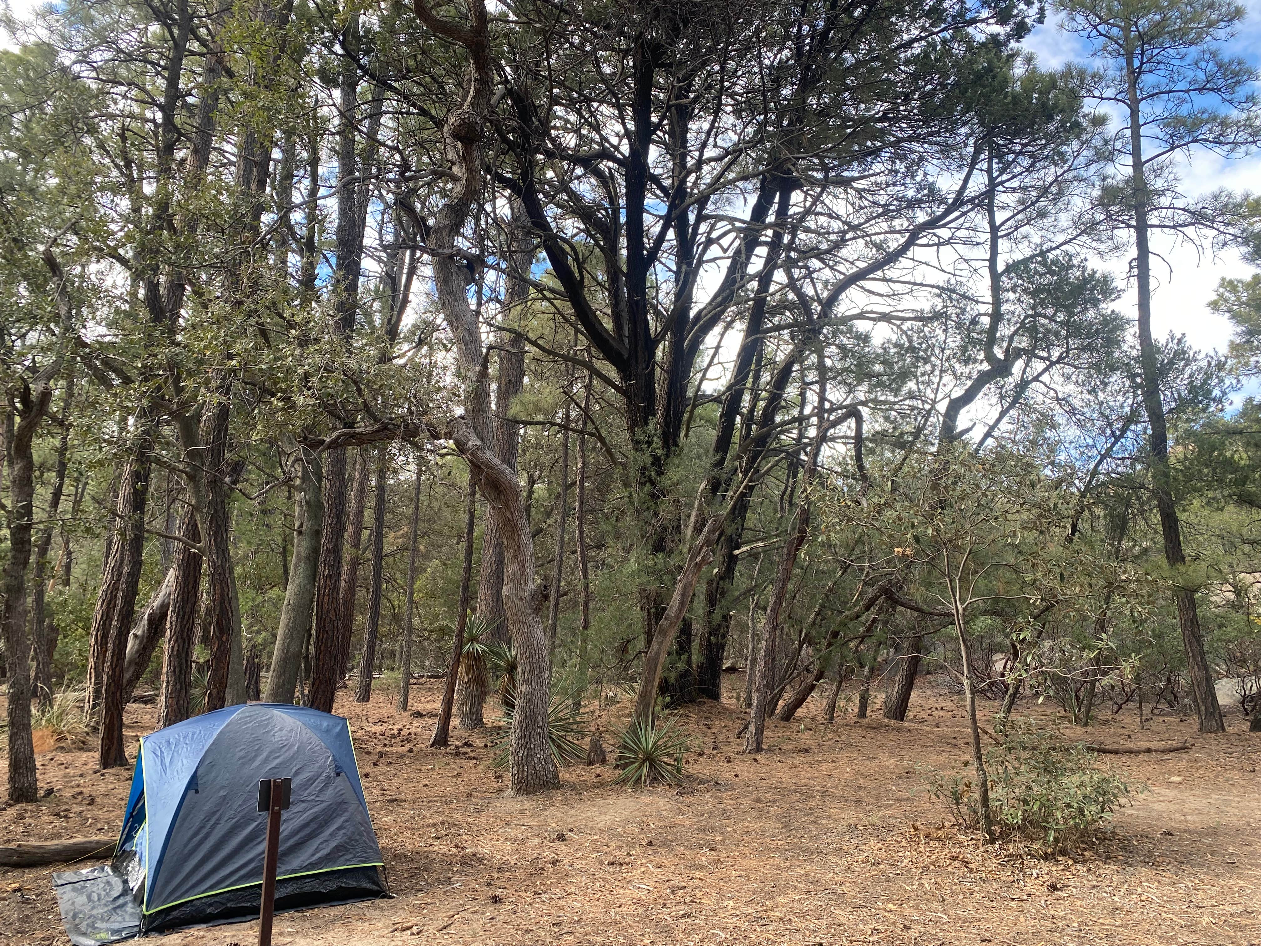 Camper submitted image from Happy Valley Saddle Campground — Saguaro National Park - 3