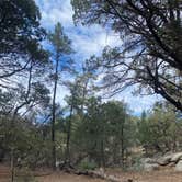 Review photo of Happy Valley Saddle Campground — Saguaro National Park by Nicole J., December 6, 2021