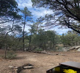Camper-submitted photo from Happy Valley Saddle Campground — Saguaro National Park