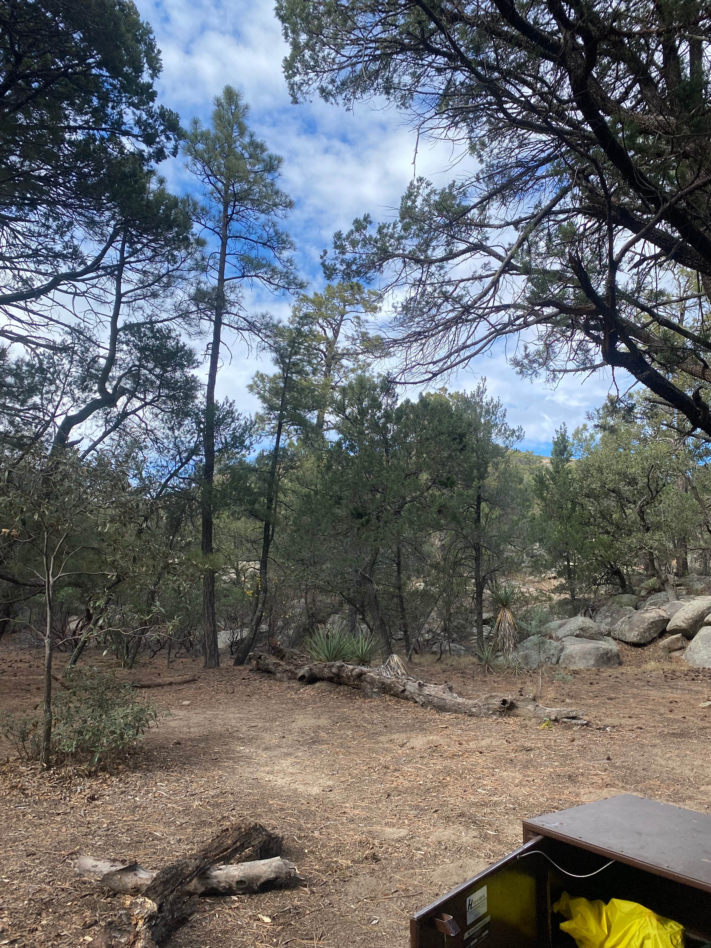 Camper submitted image from Happy Valley Saddle Campground — Saguaro National Park - 4