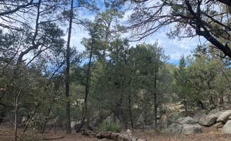 Nicole J.'s photo of tent camping at Happy Valley Saddle Campground — Saguaro National Park in Arizona