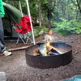 Review photo of Cougar Rock Campground — Mount Rainier National Park by Brittany P., July 8, 2018