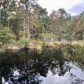 Review photo of Davis Bayou Campground — Gulf Islands National Seashore by Flannel Fabe .., December 6, 2021