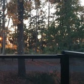Review photo of Fort McAllister State Park Campground by Will and Lucinda B., December 6, 2021